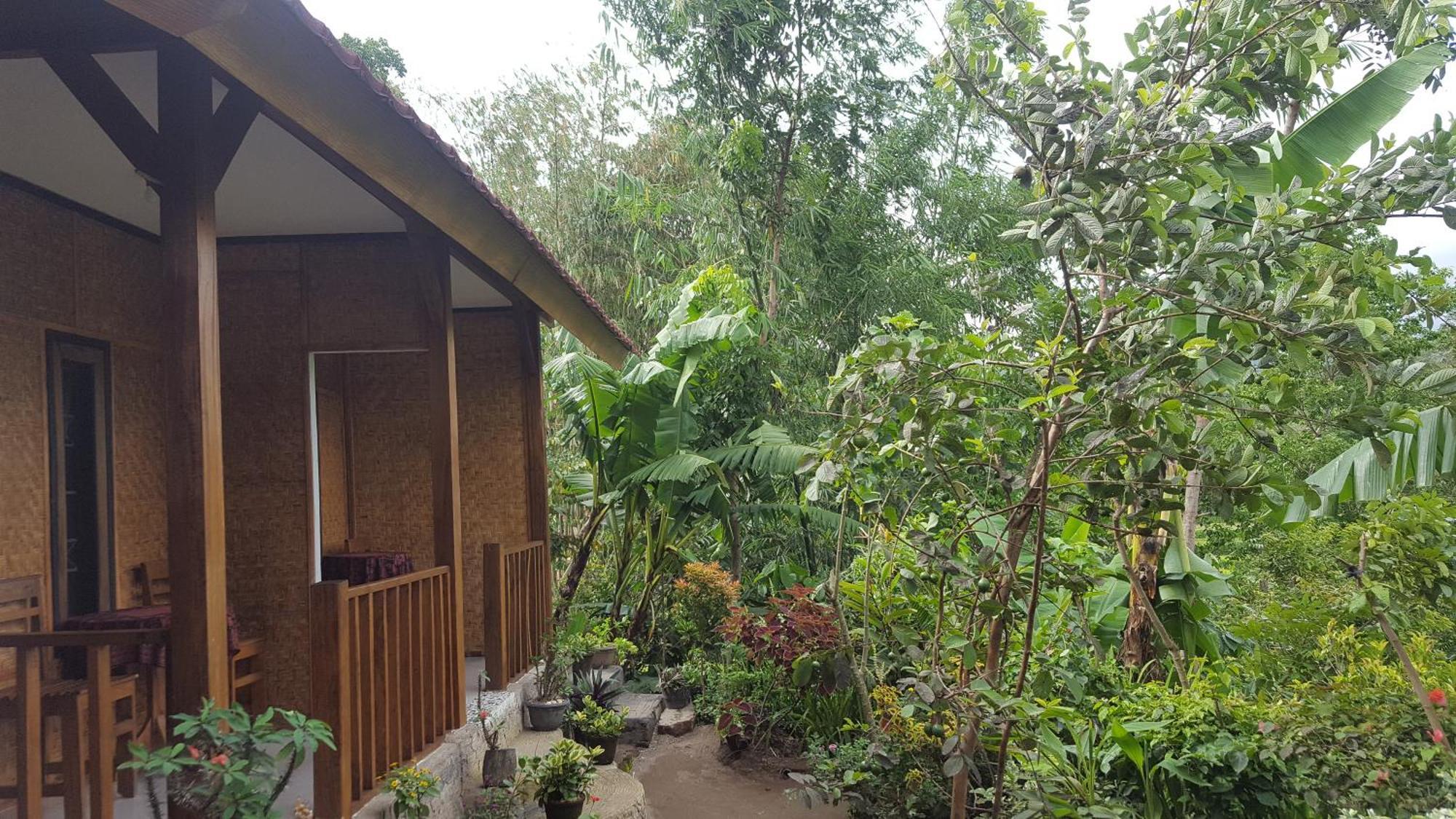 Tetebatu Indah Homestay Номер фото