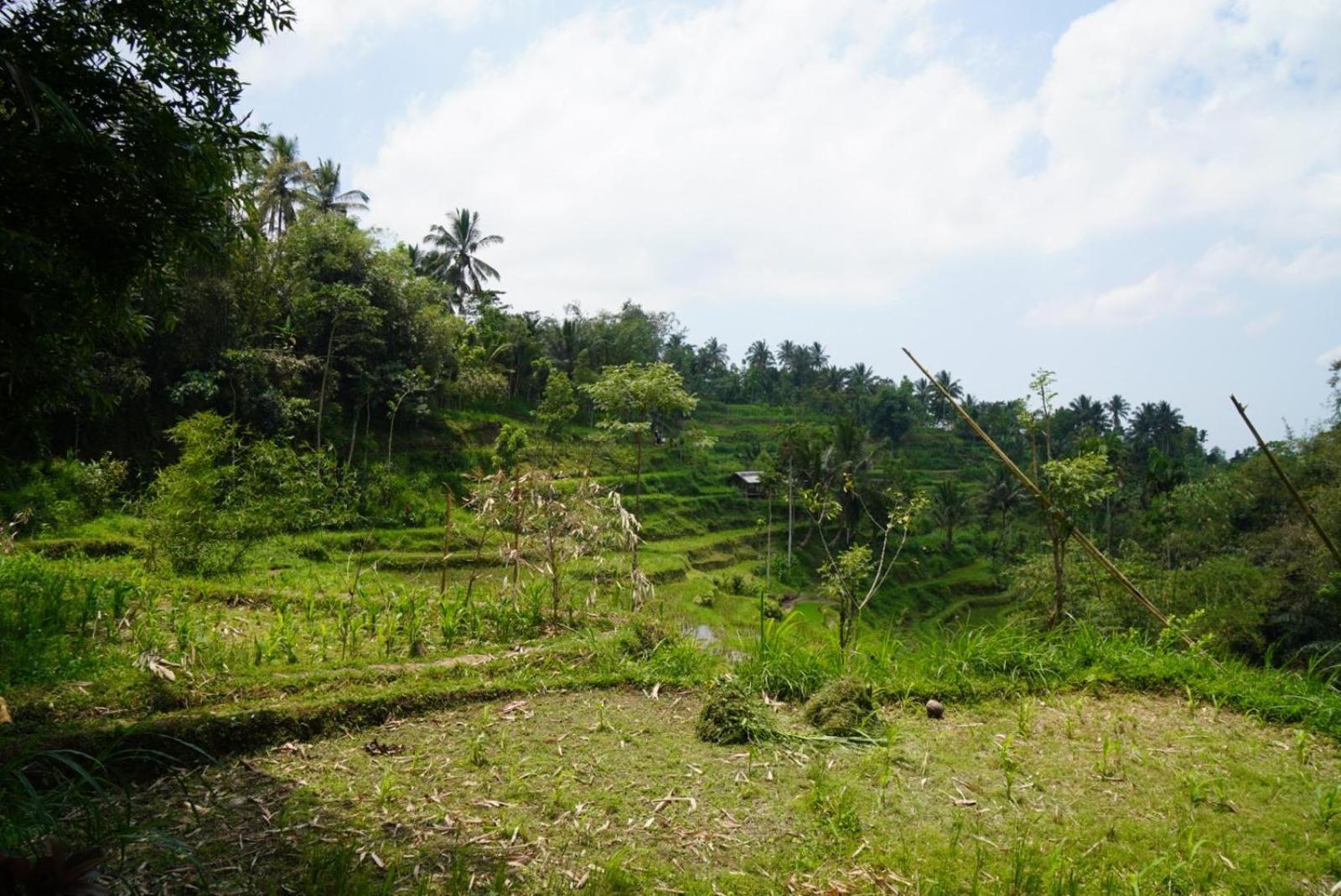 Tetebatu Indah Homestay Номер фото